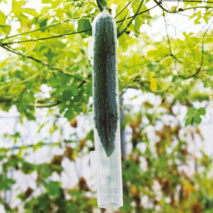 iXjbNX LE jKE ` X}[gs[J[ty ꗣz ӉZ イ Z ɂ S[ [ ` c[ Ȗ Ȗ، Ȃɂ nasunics 