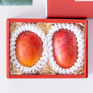 �������|�^�W�F �{�茧�Y ���n�}���S�[ ���x 15�x�ȏ�s�Y�n���� 7�����{���珇�������t�y�������� �k�C�����������z���Y �{�茧 �{�� ���n �� �}���S�[ �܂񂲁[ mango �Â�