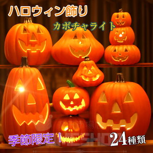 nEB Cg nEB  nEB u ڂჂ`[t nEBpvLCg^ LEDCg t C~l[V  hЃObY lC IuWF  