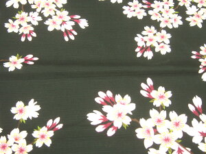 R@MISATO@ASAYAMAvf[XyC~ bsOɃsb^zނƍJɁI