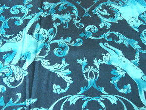 LaLaLu@[y24Ё@lЁzC~@@˂̗֕ȁ@L@lR@cat