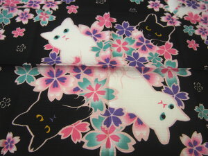 LaLaLu@[@yC~@˂̖zȁ@zlR@L@˂@ɂ񂱁@CAT