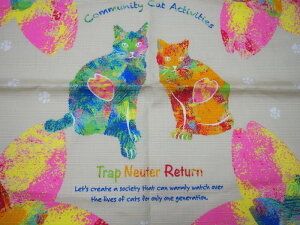 LaLaLu@[@yC~@˂zlR@L@˂@ɂ񂱁@CAT