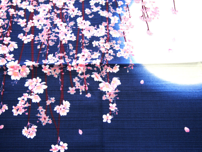 【メーカー再生品】 数量限定 日本の春 月と桜 duenorthdesign.com duenorthdesign.com