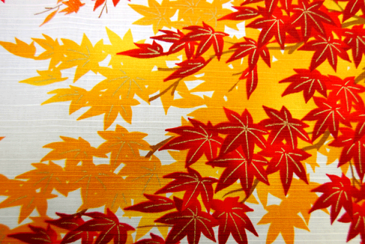 楽天市場】【小風呂敷】秋 楓 紅葉 : 京都西陣 夢の玉手箱