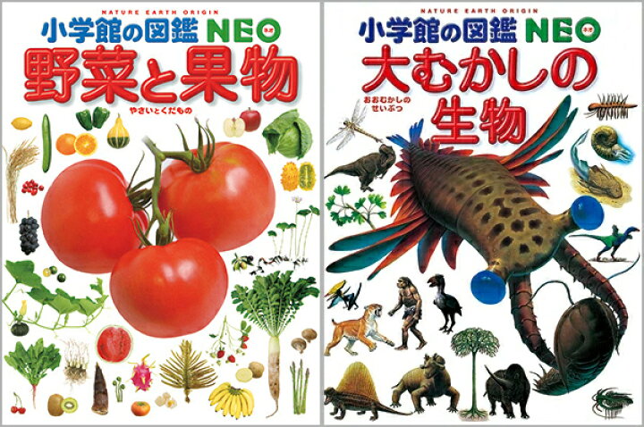 楽天市場】選べる！【専用BOX付セット！】小学館の図鑑NEO 5冊セット  