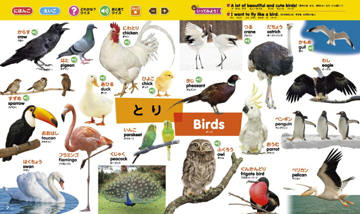 楽天市場 最大400円offクーポン タッチペンで音が聞ける はじめてずかん1000 英語つき ゆめたまご