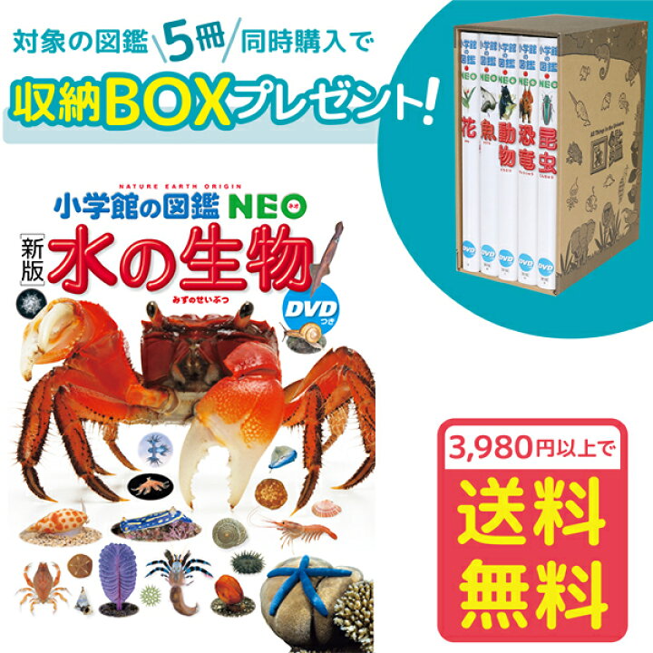 楽天市場】【収納BOX付・送料無料・条件有】小学館の図鑑NEO［新版］水 