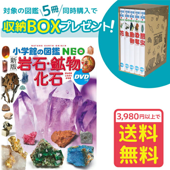 楽天市場】【収納BOX付・送料無料・条件有】.小学館の図鑑NEO［新版 