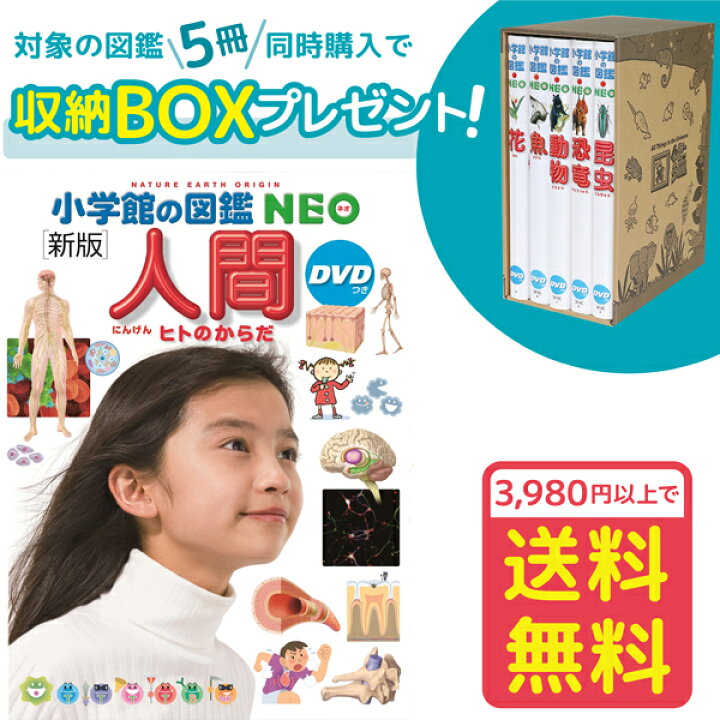 楽天市場】【収納BOX付・送料無料・条件有】小学館の図鑑NEO［新版 