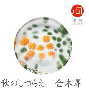 ADERIAiAfAj@Ĥ炦@؍ҁijF62189@