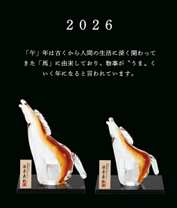 ADERIAiAfAj@x u n Ɏq Ìyтǂ  E F-75461 F-75462 2026N ΒˏɎq