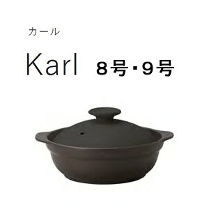 THERMATEC@T[}ebN@IHyʓy Karl (J[) ubN 8@9@KAL0108BK KAL0308BK