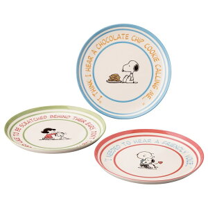 SNOOPYiXk[s[jgIv[gZbg@SN2500-95