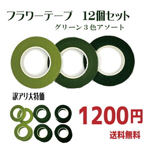 y[ցI|Xgɓ͂zIt[e[vlR|X邾12Zbg t[e[v hCt[ | e[v Ntg nhCh   AWg t