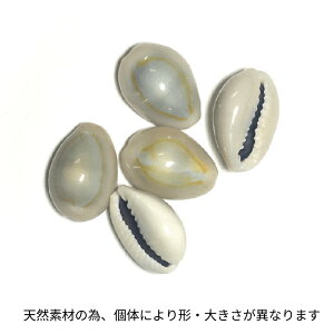 yzLk Lk 100g ċx L ܋l VF@VRL@n[oE @fBXv[@ċx݁@CeA@K[fjO@@ANZT[