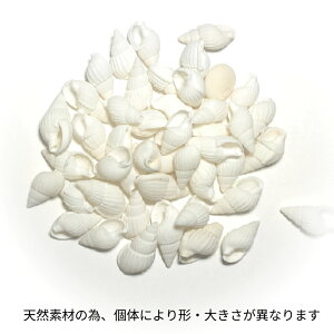 yzLk Lk 100g ċx L ܋l VF@VRL@n[oE @fBXv[@ċx݁@CeA@K[fjO@@ANZT[