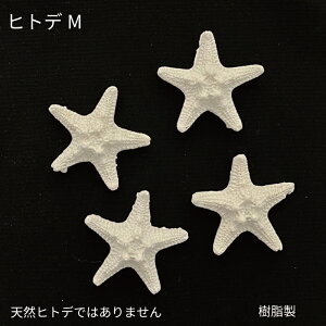 yzqgfM@@ Lk ܋l VF@ @fBXv[@ċx݁@CeA@K[fjO@@ANZT[