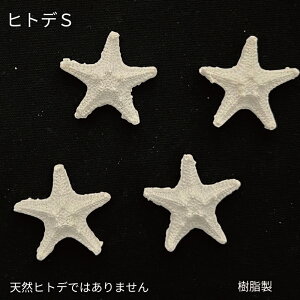 yzqgfS@@ Lk ܋l VF@ @fBXv[@ċx݁@CeA@K[fjO@@ANZT[