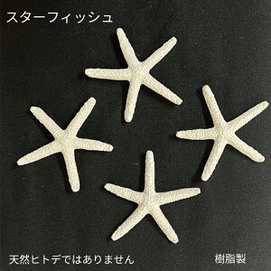 yzX^[tBbV@@ Lk ܋l VF@ @fBXv[@ċx݁@CeA@K[fjO@@ANZT[