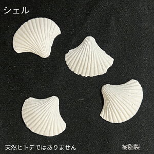 yzVF@@ Lk ܋l VF@ @fBXv[@ċx݁@CeA@K[fjO@@ANZT[