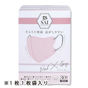  SAI ̃}XN sN*O[ ӂTCY(30)@ @J[}XN|@ہ@sDz}XN@J[}XN@PM2.5@EBX򖗁EEԕEzR