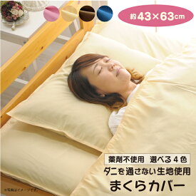 枕カバー 43×63cm ダニを通さない生地 高密度繊維 防ダニ クリックポスト配送商品