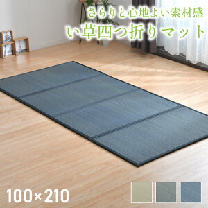  l܂ }bg 100×210cm 1  ` Iׂ3F n  ~  ~ bNX a a SU RpNg