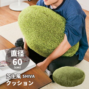 Ő NbV 60R ~` V[@ ӂ lH ~ ACe 蕨 v[g [J[i