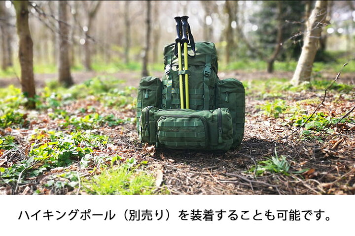 楽天市場】DDハンモック ベルゲンリュックサック DD Bergen Rucksack 