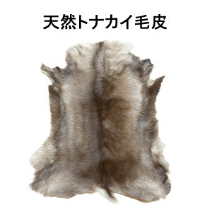 giJCє }bg O ~ VR XEF[fA k ~Lv h CfBAnCh Reindeer Hide