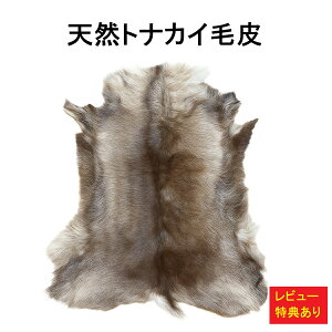 giJCє }bg O ~ VR XEF[fA k ~Lv h CfBAnCh Reindeer Hide