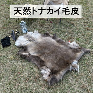 giJCє }bg O ~ VR XEF[fA k ~Lv h CfBAnCh Reindeer Hide