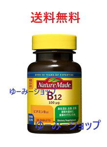 ��ː��� �l�C�`���[���C�h B-12 80����4987035260714����`�O�X�֑�������