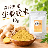 ＼楽天スーパーDEAL／ポイント40％還元★送料無料1000円ポッキリ ＜生姜粉末10g＞ 1000ポキ 宮崎県産生姜…