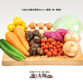 ＜ひなたの国の野菜セット（野菜・卵・果物）＞ 宮崎県産 国産 やさい 宮崎県の美味しい野菜たちをお届けします♪ 海と太陽