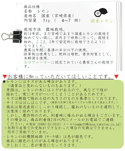 【宮崎産直】<国産宮崎訳ありレモン1kg!エコファーマーが作ったレモン!ノー防カビ剤・ノーワックス・除草剤なし>【九州・宮崎から宅配便でのお届け】※出荷日を選べません。手作りの塩レモンはちみつレモンに!※別商品に同梱不可【RCP】