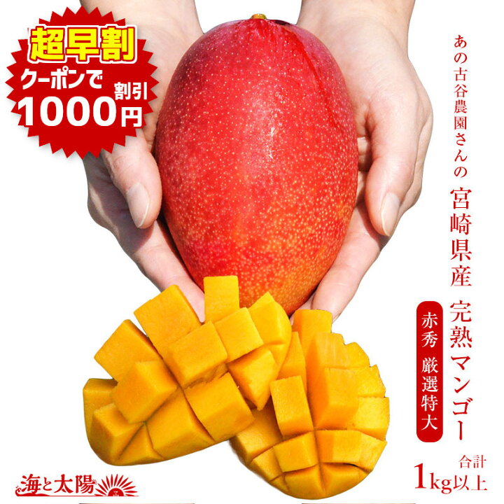 楽天市場】【超早割☆クーポン利用で1,000円オフ】合計1kg以上！【受付 
