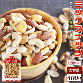 【SALE★今だけ1000円ポッキリ！】大容量400g！うす塩仕立て！＜昔ながらの5種のミックスナッツ＞（落花生、ジャイアントコーン、アーモンド、カシューナッツ、生くるみ） 送料無料 有塩 おつまみ 海と太陽 メール便 クルミ ピーナッツ