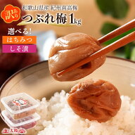 【値上げ前最後の大セール】半額以下 選べる！紀州南高梅つぶれ梅2種 1kg 送料無料 国産 訳あり うめ ウ…