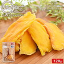 【SALE★通常619円⇒590円】＜With ドライソフトマンゴー120g＞ タイ産 カンボジア産 送料無料 ドライマンゴー フルーツ ドライフルーツ まんぷく おやつ おつまみ 晩酌 メール便 ウィズ 海と太陽 プチギフト お菓子 お礼 産休 育休 退職