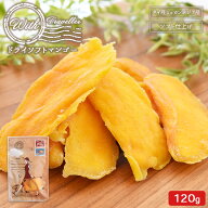 【期間限定セール★3/13(金)朝9:59まで】＜With ドライソフトマンゴー120g＞ タイ産 カンボジア産 送料無…