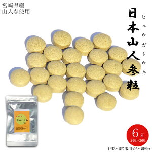 {RlQ 6g 1000~|bL  {茧YE{RlQiqEKgELjgp ɂق܂ɂ񂶂/ЂイƂ/A iʁjyRCPz