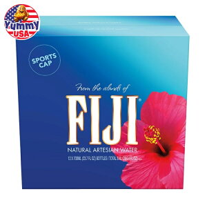 yő500~OFFN[|LztBW[ i` AeVA EH[^[ 700ml 12 { Fiji Natural Artesian Water 23.7 fl oz 12-count { e ~lEH[^[ VR~l  VRd