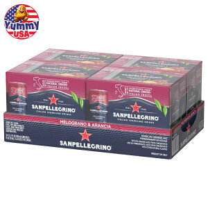 �T���y���O���m �C�^���A���X�p�[�N�����O�h�����N �����O���[�m���A�����`�� 330ml(11.15 fl oz) 24�{���� San Pellegrino Italian Sparkling Drink ���{�������y�����񂹏��i�z