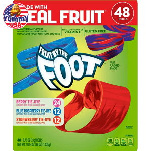 yő1040~OFFN[|Lzt[c oC U tbg oGeB 0.75 IX 48  Fruit By The Foot, Variety, 0.75 oz, 48-count { e y񂹏iz