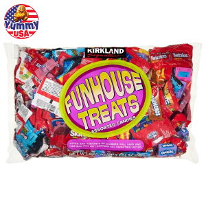 yő500~OFFN[|LzJ[NhVOl`[ t@nEXg[c oGeBpbN 92IX Kirkland Signature Funhouse Treats, Variety Pack, 92 oz {y񂹏iz