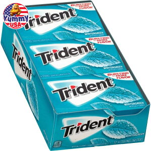 【最大500円OFFクーポン有】トライデント シュガーフリーガム ウィンターグリーン 14 スティック 12 個入り Trident Sugar Free Gum, Wintergreen, 14 Sticks, 12-count 日本未発売【お取り寄せ商品】