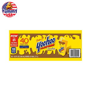 yő500~OFFN[|Lz[z[ `R[ghN 6.5 tʃIX 40  Yoo-hoo Chocolate Drink, 6.5 fl oz, 40-count {y񂹏iz