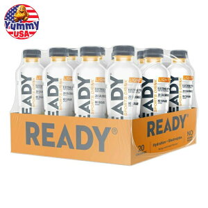 ���f�B �X�|�[�c�h�����N ���C�g �}���S�[�����l�[�h 500ml 12 ���� Ready Sports Drink Light, Mango Lemonade, 16.9 fl oz, 12-count ���{�������y�����񂹏��i�z